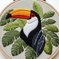 Toucan image 0